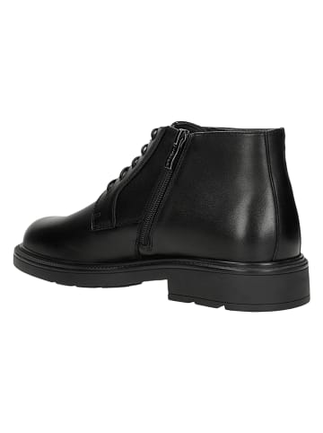 Wojas Leder-Schnürschuhe in Schwarz