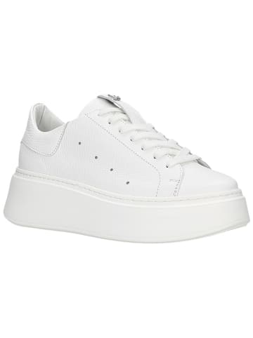 Wojas Skórzane sneakersy w kolorze białym