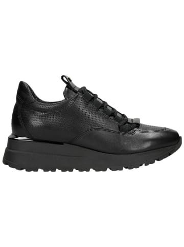 Wojas Leder-Sneakers in Schwarz