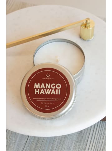 Lucky Bees Duftkerze ''Mango Hawaii'' in Silber - 80 g
