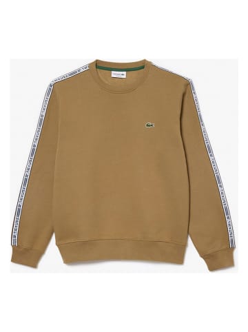 Lacoste Sweatshirt in Camel