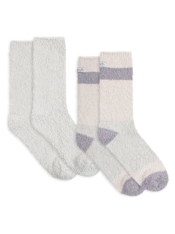 Lemon socks 6-delige set: sokken grijs/paars
