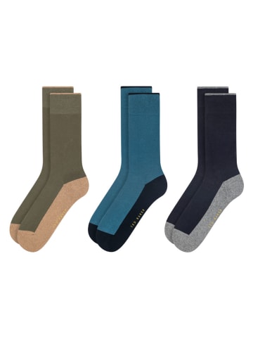 Ted Baker 6er-Set: Socken in Blau/ Khaki