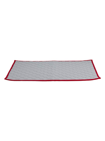 Edco Welpen-Trainingsmatte in Grau - (L)60 x (B)45 cm