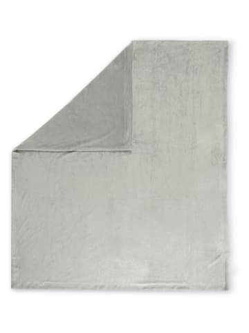 Hip Plaid lichtgrijs