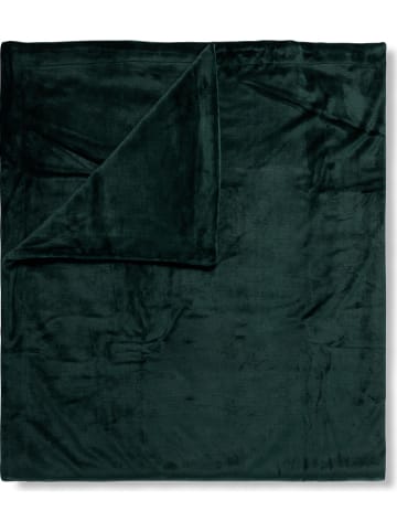 Hip Plaid in Dunkelgrün