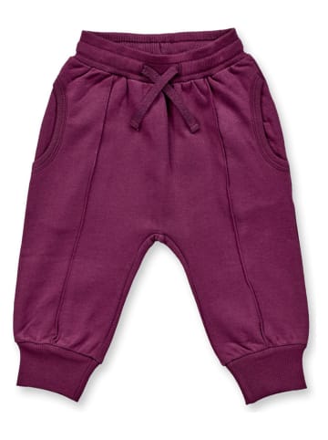 Sense Organics Sweathose "Nevin" in Aubergine