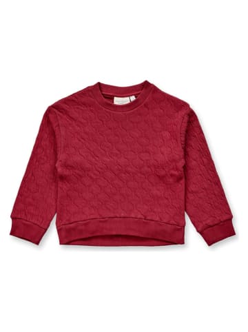 Sense Organics Sweatshirt "Amiloo" in Bordeaux