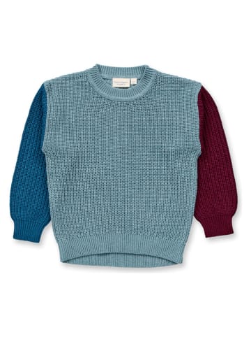 Sense Organics Pullover "Delia" in Bunt