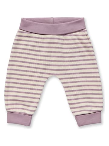 Sense Organics Hose "Sjors" in Mauve