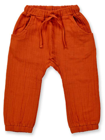 Sense Organics Hose in Rotbraun