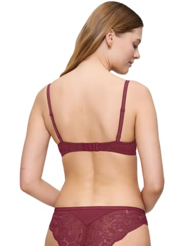 Triumph Biustonosz w kolorze bordowym