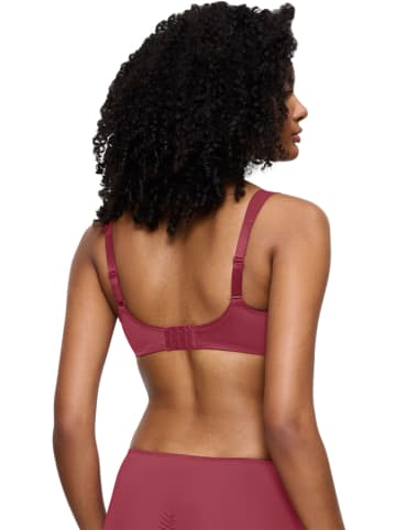 Triumph Minimizer-BH in Beere