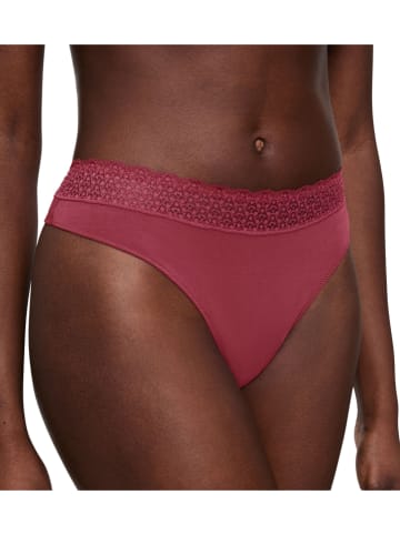 Triumph String in Beere