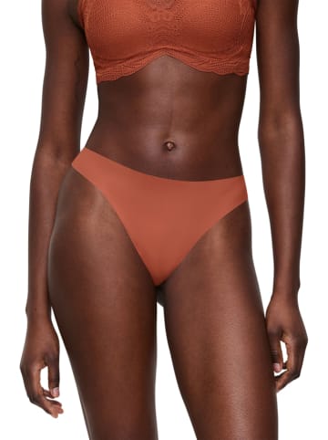 Triumph String bruin