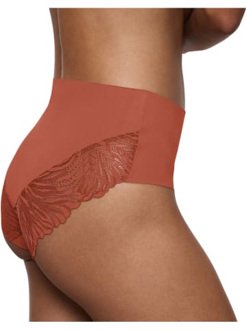 Triumph Taillenpanty in Braun