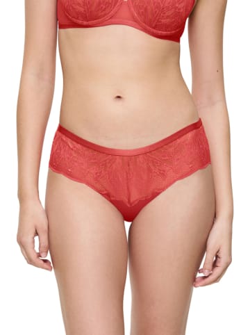 Triumph Panty "Crazy Stupid Love" in Koralle