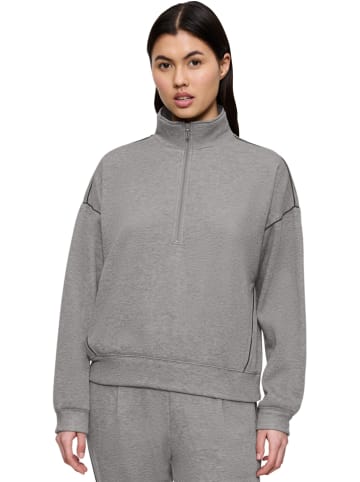 Triumph Sweatshirt in Grau