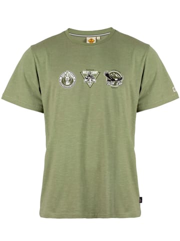 Roadsign Shirt in Oliv
