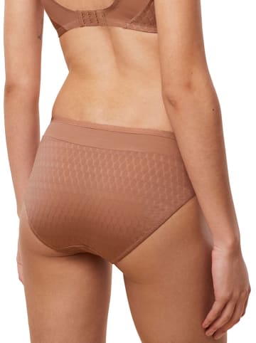 Triumph Figi "Azelea Florale" w kolorze jasnobrązowym