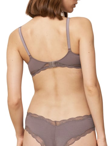 Triumph Still-BH in Braun