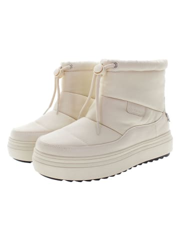 U.S. Polo Assn. Winterboots in Creme