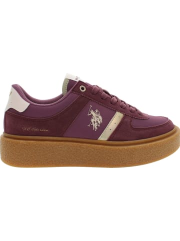 U.S. Polo Assn. Sneakers paars/goudkleurig