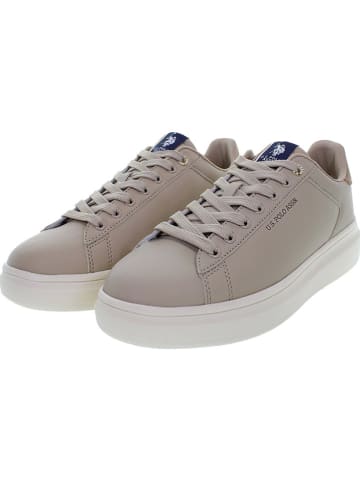 U.S. Polo Assn. Sneakers in Beige