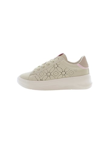 U.S. Polo Assn. Sneakers in Beige