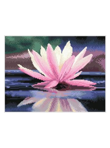 DIAMOND DOTZ Zestaw kreatywny "Diamond Painting Seerose" - 4+