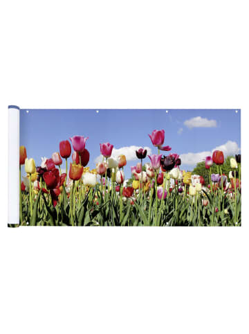 Maximex Balkonsichtschutz ''Tulip Meadow'' in Bunt - (L)85 x (B)500 cm