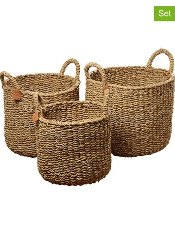 Boltze Koszyki (3 szt.) "Sophy" w kolorze brązowym