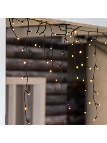 Hollybell Zasłona świetlna LED - KEE F (A do G) - 52 x 585 cm