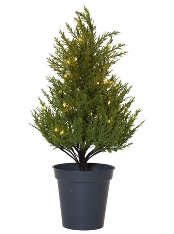 STAR Trading Choinka LED "Thuja" w kolorze zielonym - 55 x 28 cm