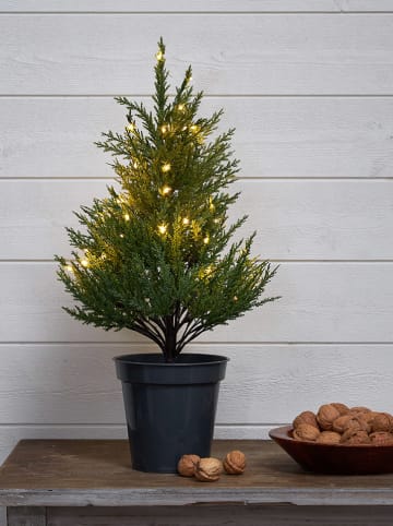 STAR Trading Choinka LED "Thuja" w kolorze zielonym - 55 x 28 cm