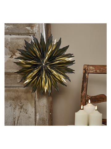 STAR Trading Gwiazda papierowa "Dis" w kolorze zielonym - Ø 40 cm