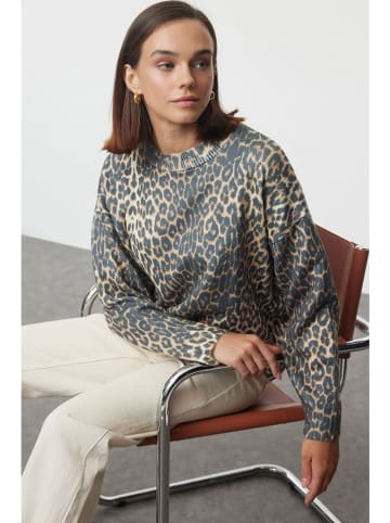 trendyol Trui beige/grijs