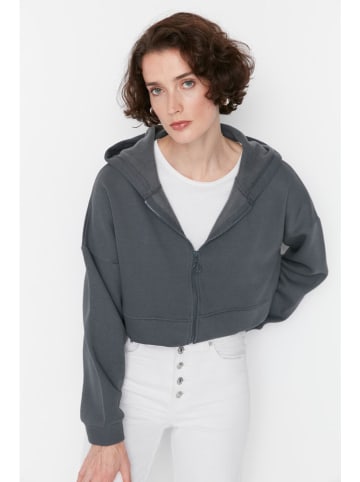 trendyol Sweatshirt in Grau