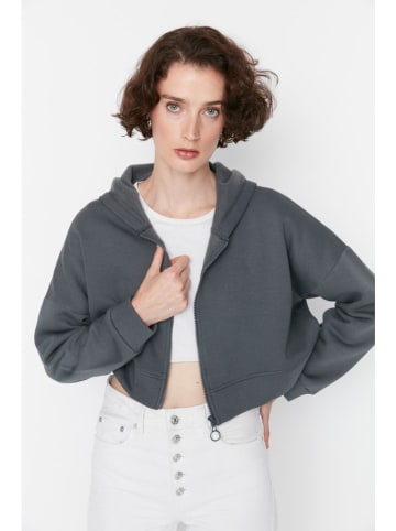 trendyol Sweatshirt in Grau