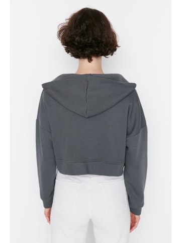 trendyol Sweatshirt grijs