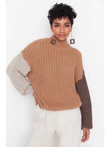 trendyol Rollkragenpullover in Bunt