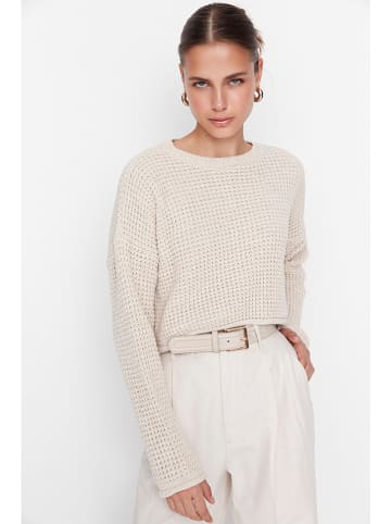 trendyol Pullover in Creme
