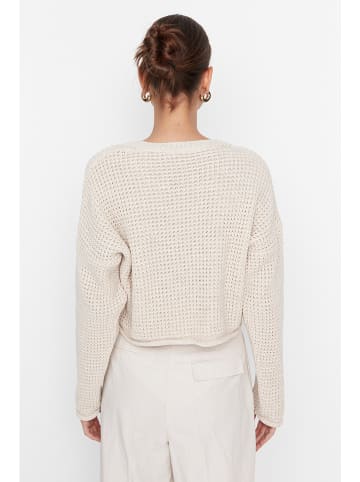 trendyol Pullover in Creme
