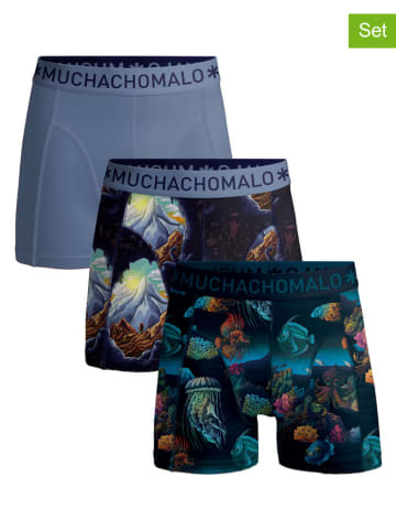 Muchachomalo 3er-Set: Boxershorts in Bunt