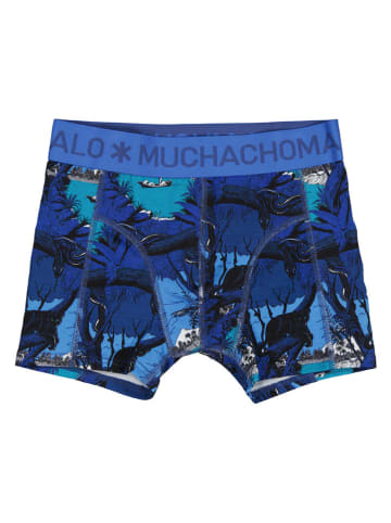 Muchachomalo 2er-Set: Boxershorts in Dunkelblau