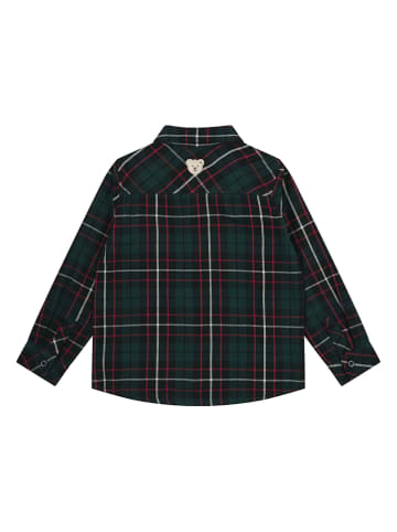 Steiff Koszula w kolorze granatowo-zielonym