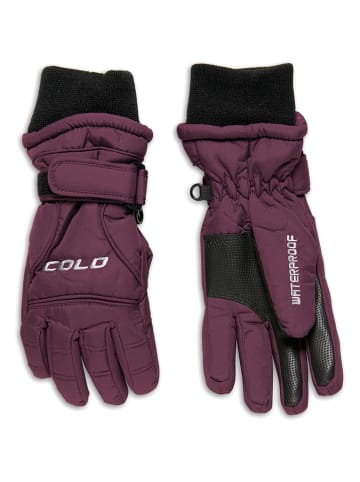 COLD Handschuhe in Pflaume