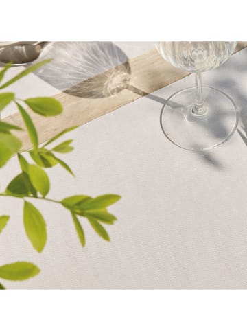Sauter 4-delige set: placemats taupe - (L)40 x (B)35 cm