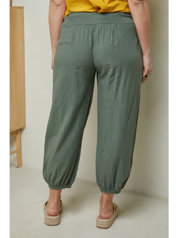 Curvy Lady Hose in Khaki