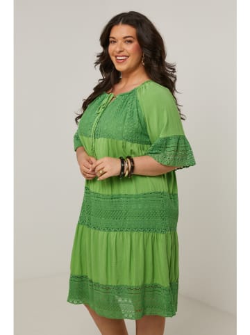 Curvy Lady Kleid in Grün